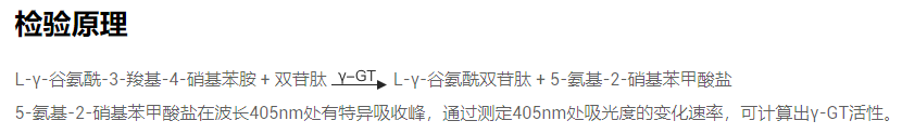 γ-谷氨酰转移酶（γ-GT/GGT）γ-Glutamyltransferase EC 2.3.2.2